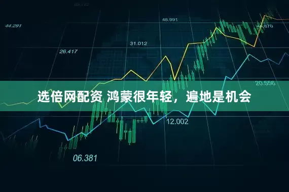 选倍网配资 鸿蒙很年轻，遍地是机会