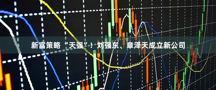 新富策略 “天强”！刘强东、章泽天成立新公司